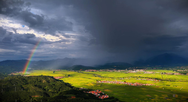 云南芒市稻浪與彩虹同框