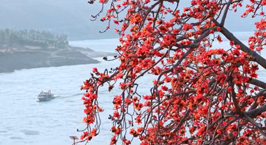 攀枝花長啥樣？到攀枝花去看看